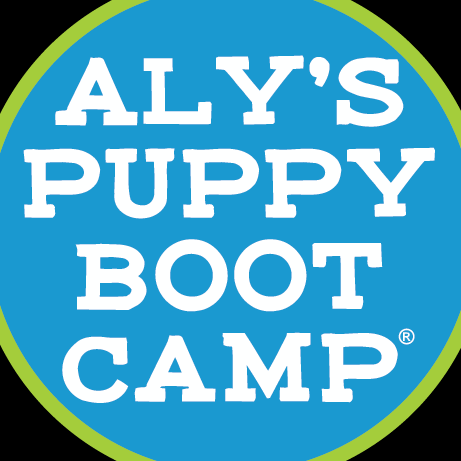 Alys Puppy Boot Camp