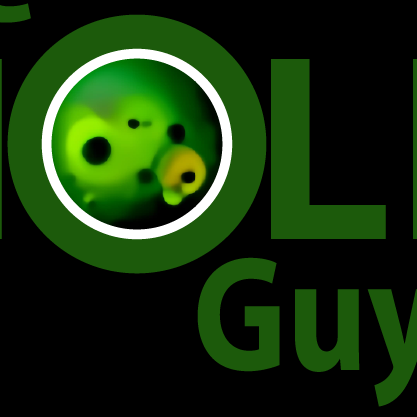 themoldguys