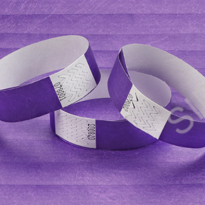 wristbandfit